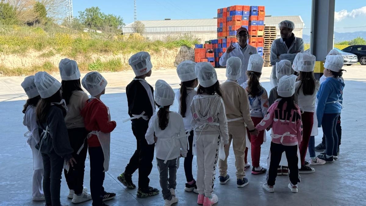 Un total de 868 centros educativos se han adherido al programa, dirigido a la población infantil de entre 6 y 12 años.