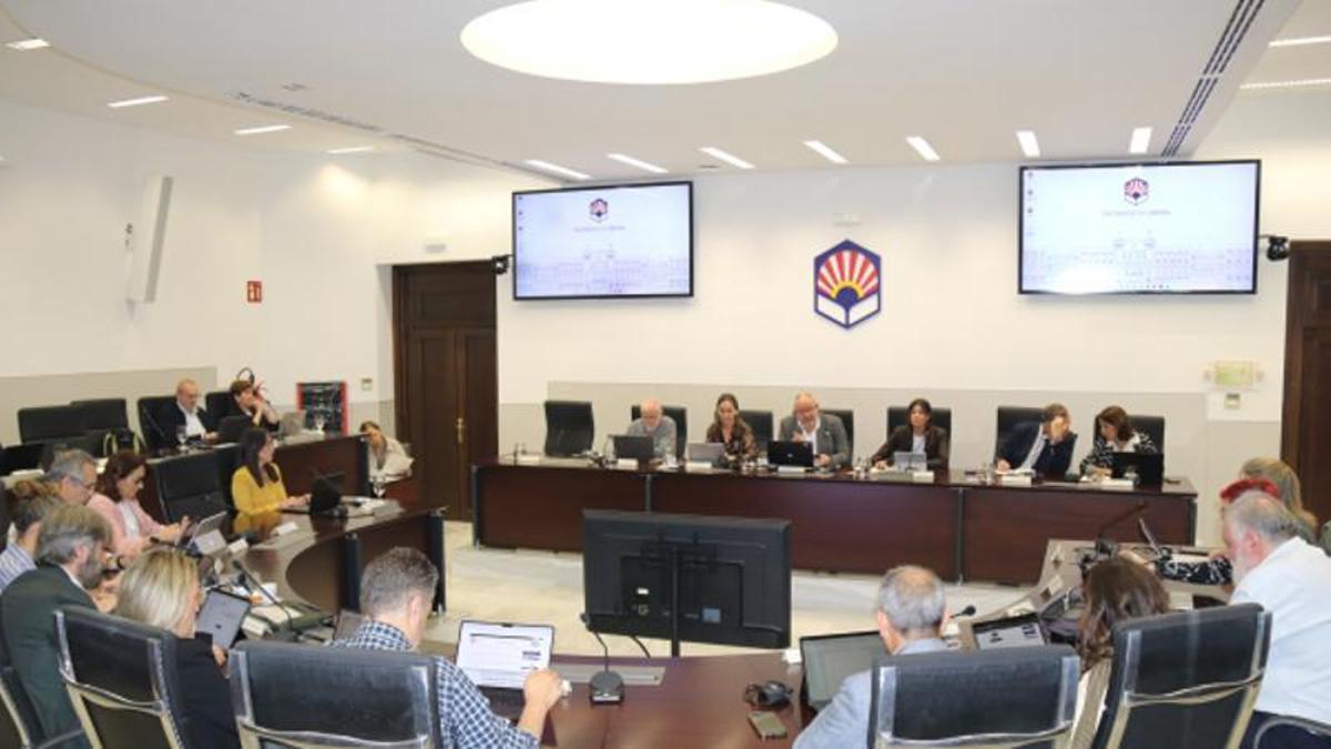 La UCO aprueba 76 plazas de profesor titular y crea la Cátedra CECO de Empresa Familiar — image 2