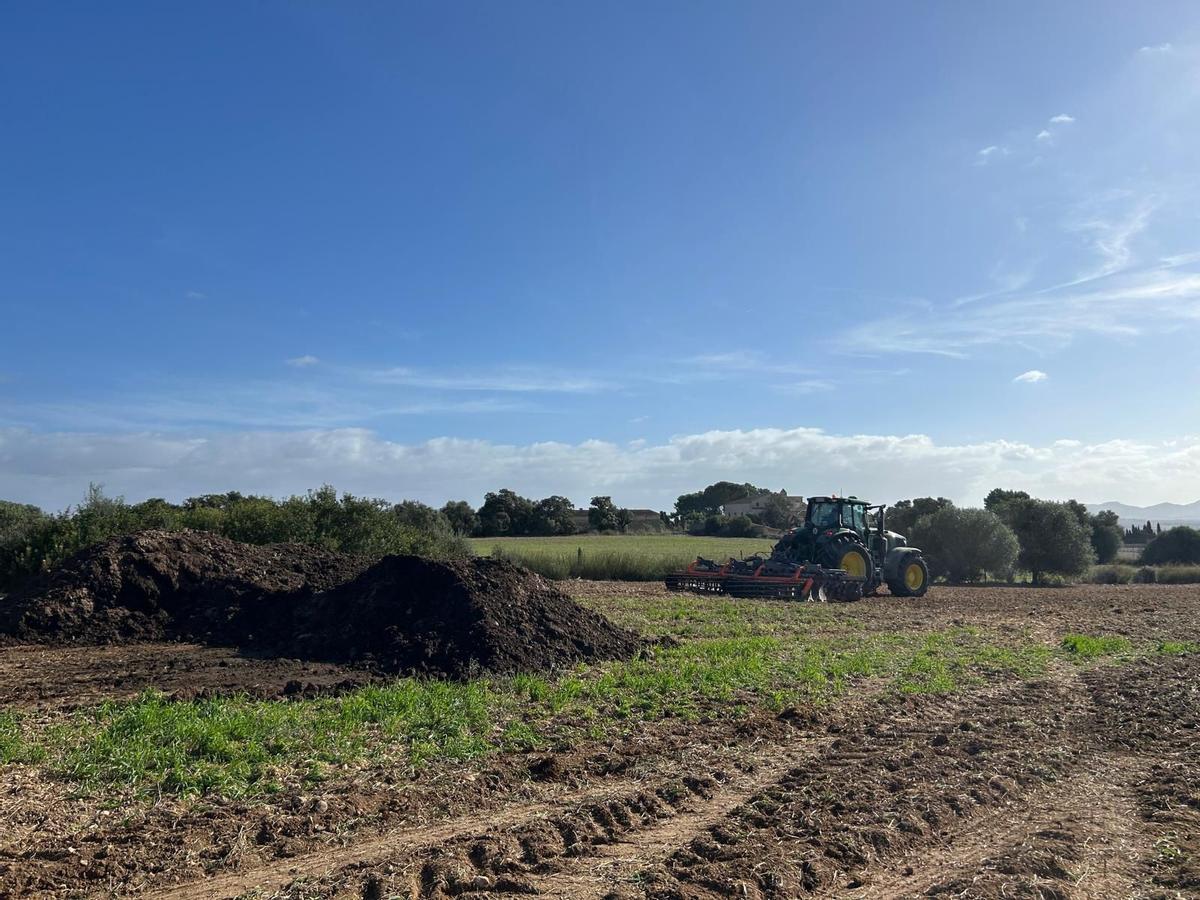 El uso de excrementos de animales está regulado por la ley.