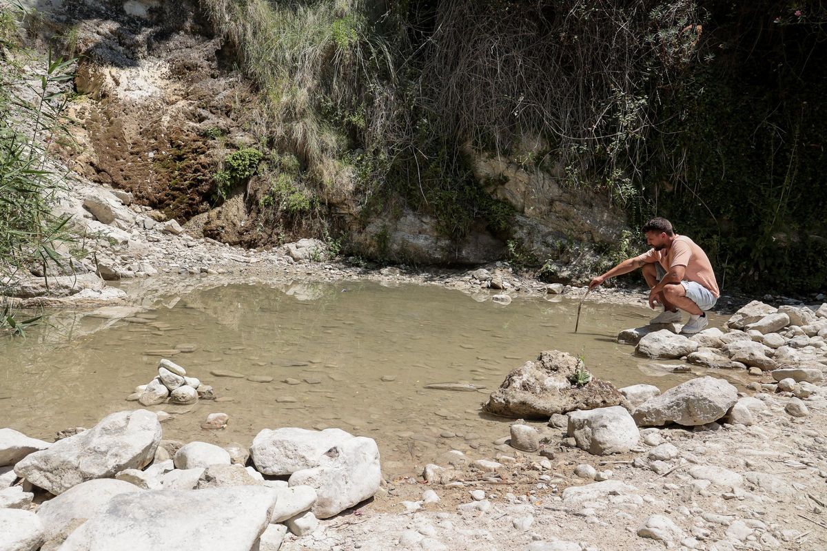 La Rambla de Puça de Petrer este verano, en un estado muy precario