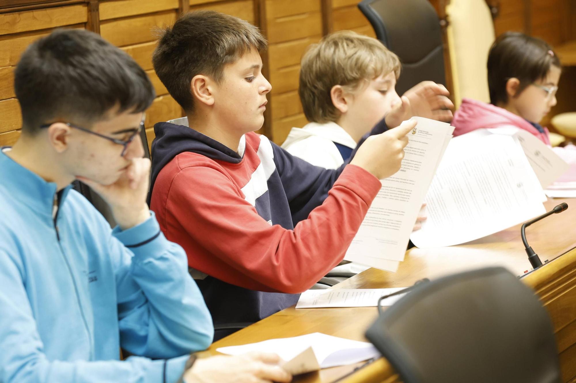 El Pleno del Consejo Municipal de Infancia y Adolescencia de Gijón, en imágenes