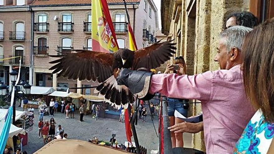 Pregón y suelta de un ave de cetrería sobre el Mercado Medieval. A. G.