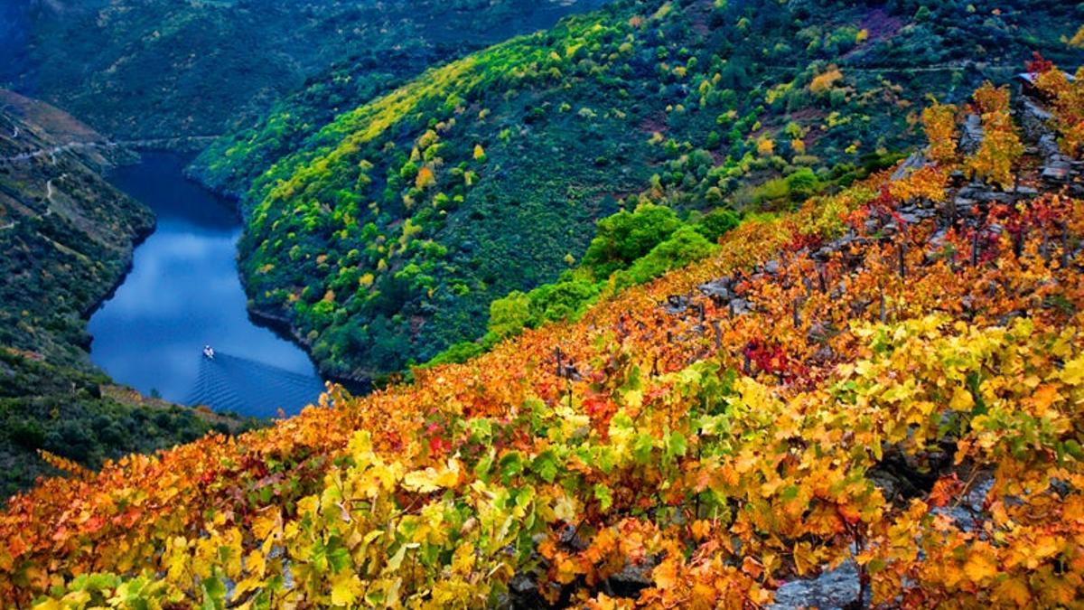 Ribeira Sacra (Galicia)