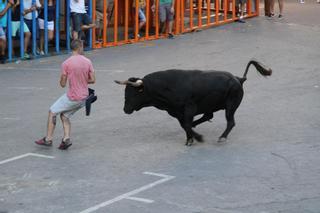 Un verano negro reabre el debate sobre los 'bous al carrer'