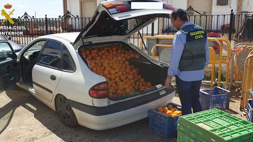 Detenido por el hurto de más de una tonelada de naranjas y espárragos