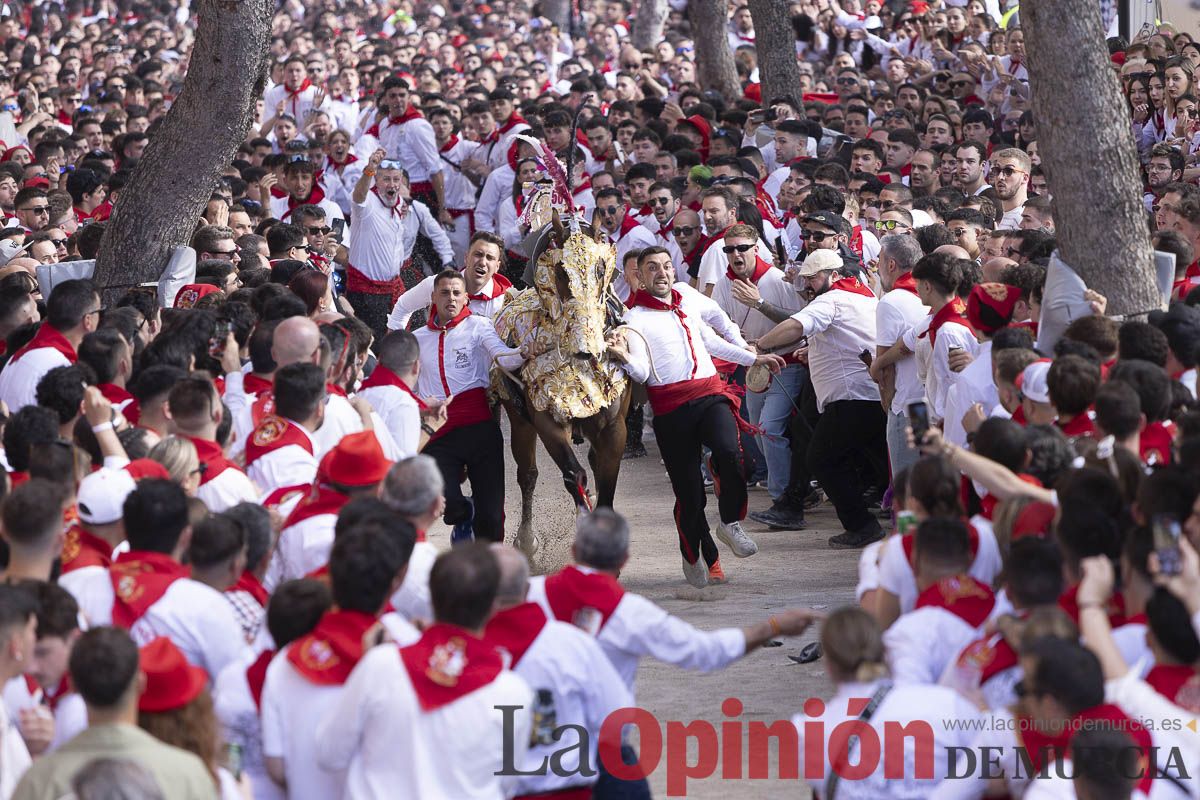 Así se ha vivido la carrera de Los Caballos del Vino en Caravaca