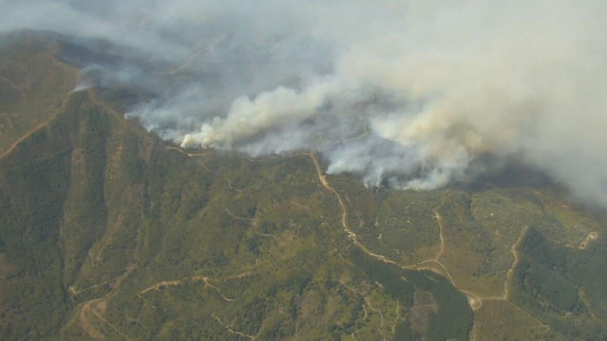 ¿Qué son los incendios de sexta generación, como el que ha arrasado Málaga?