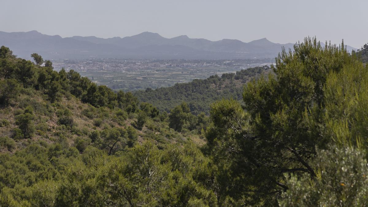 Paraje natural municipal Les Rodanes de Vilamarxant. Vista de la Calderona