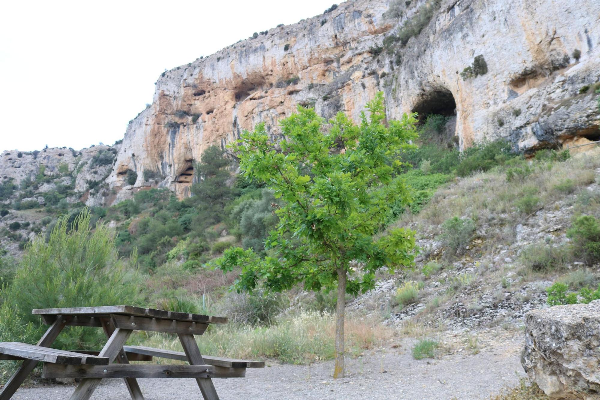 Les Coves de Vinromà.