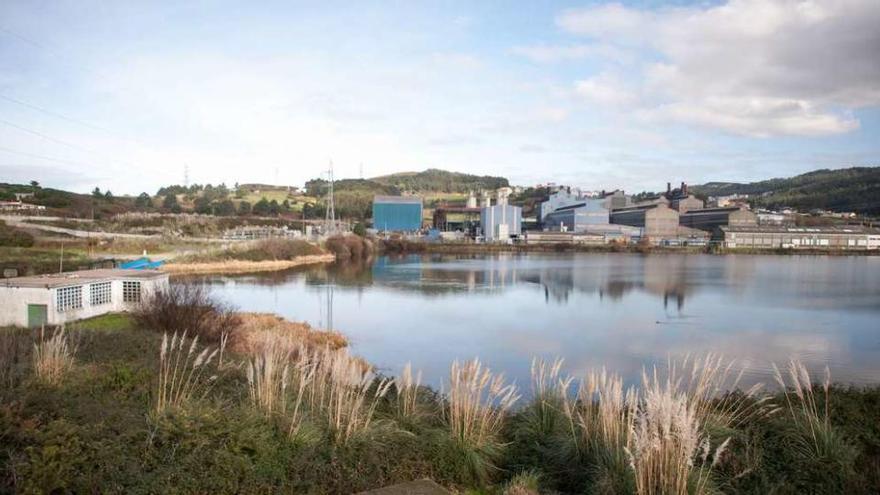 Vista de la zona por donde pasará la senda que Arteixo proyecta en el embalse del polígono de Sabón.