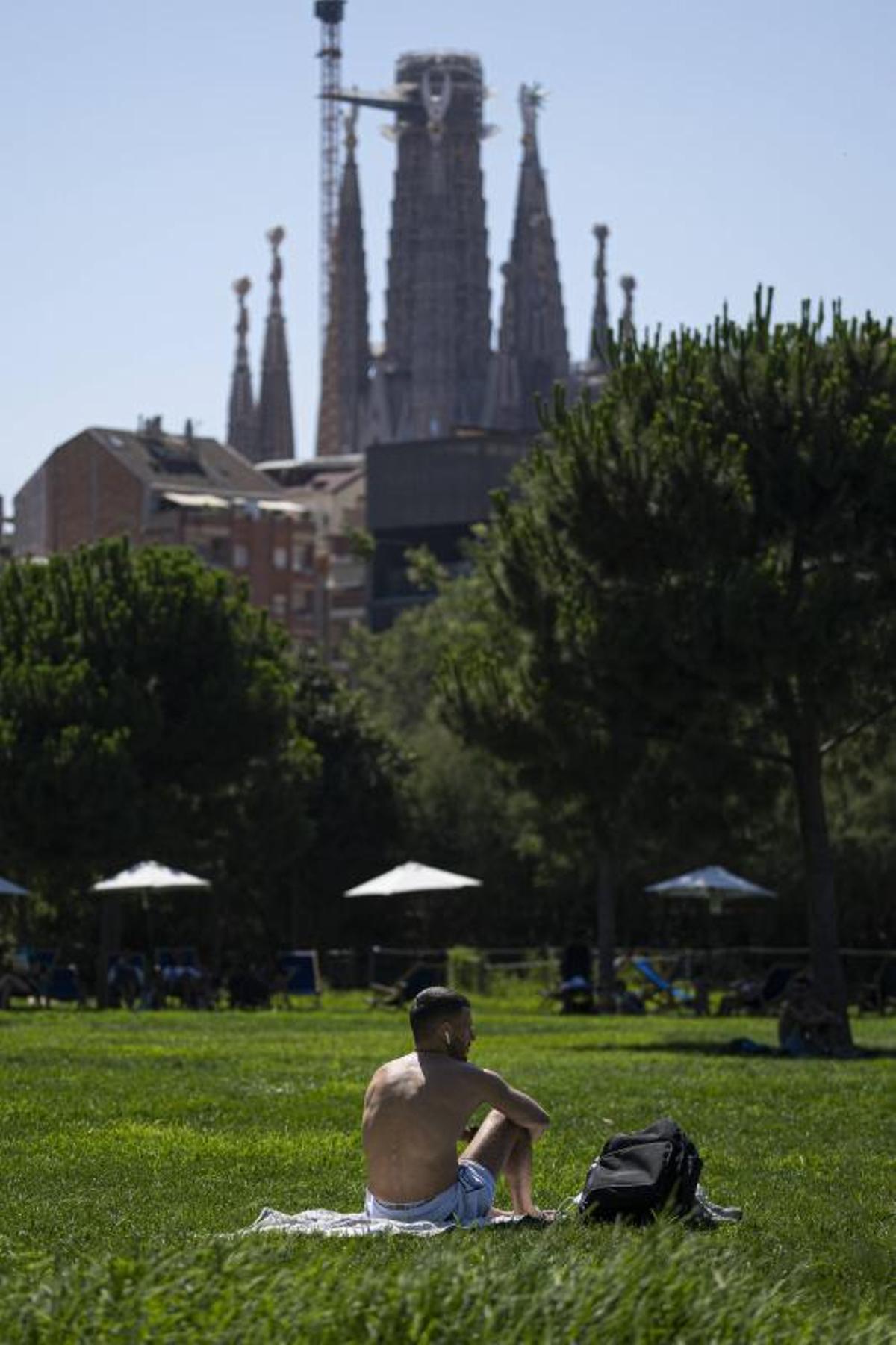 Expats y turistas toman el sol en parques urbanos