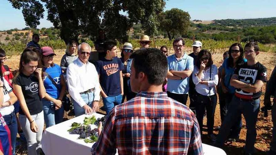 Aficionados al vino durante la visita de ayer a Bodegas Fariña.