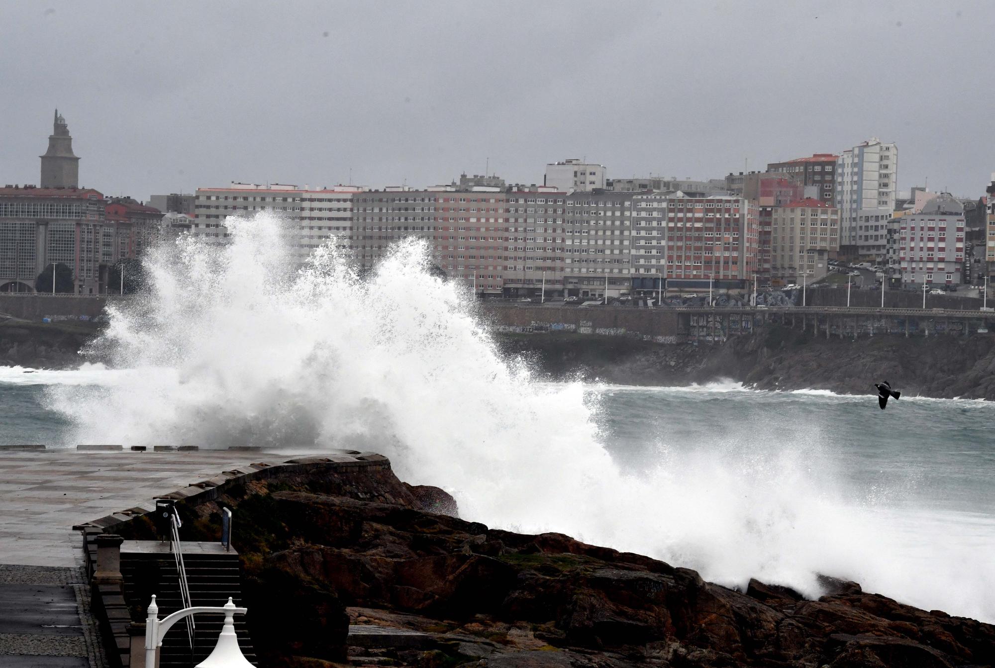 A Coruña se prepara para la alerta roja por olas de más de 8 metros