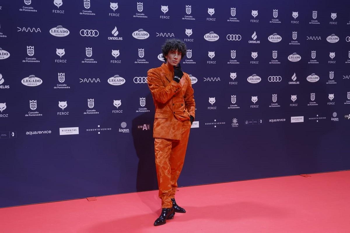 Alfombra roja de los Premios Feroz 2025