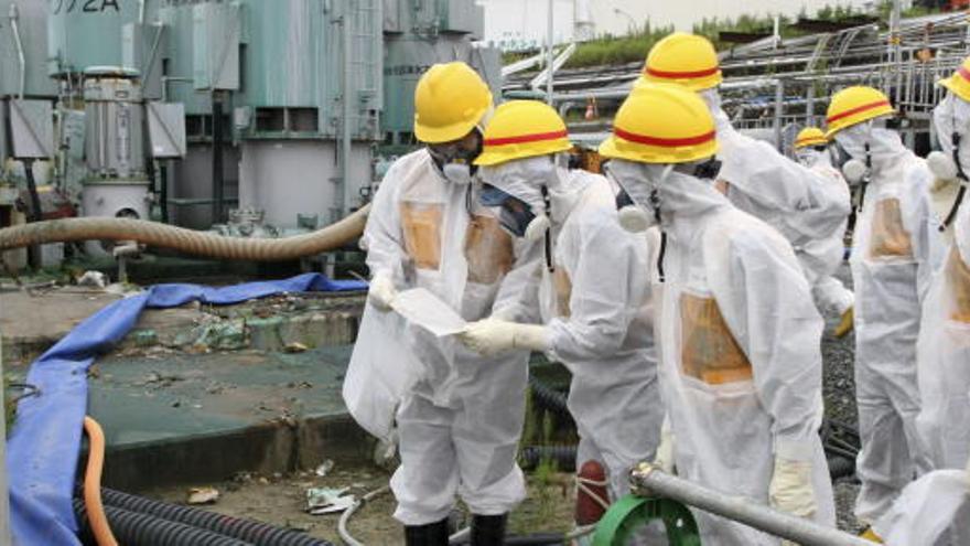 Miembros de la NRA el pasado agosto en Fukushima.