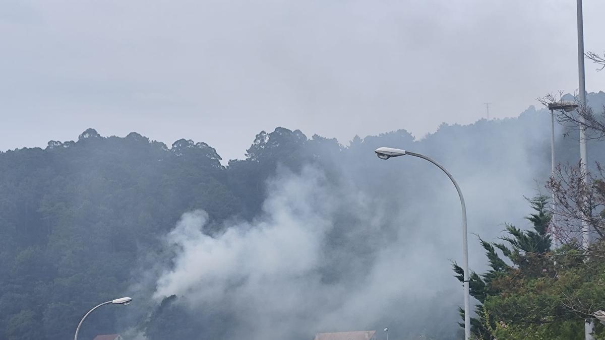 Columna de humo de la quema de cartones en Chapela de este sábado