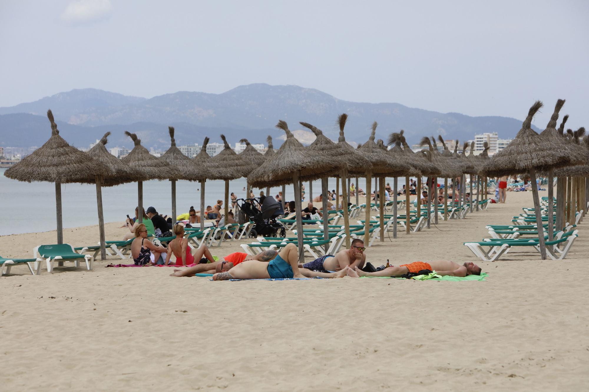 Vatertag am der Playa de Palma 2023 - die besten Bilder
