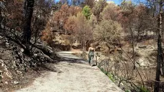 Les feines de restauració de l'incendi de Carme començaran a finals d'any i els propietaris demanen una gestió "global"