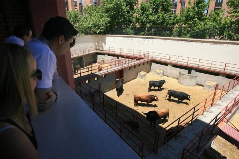 Suspendida la corrida de Feria en Los Califas