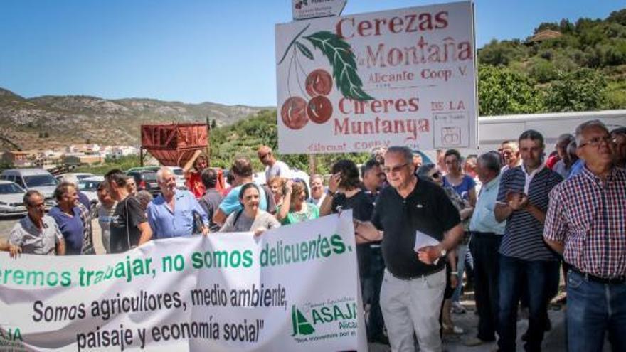 El sector de la cereza se planta contra el acoso de las inspecciones