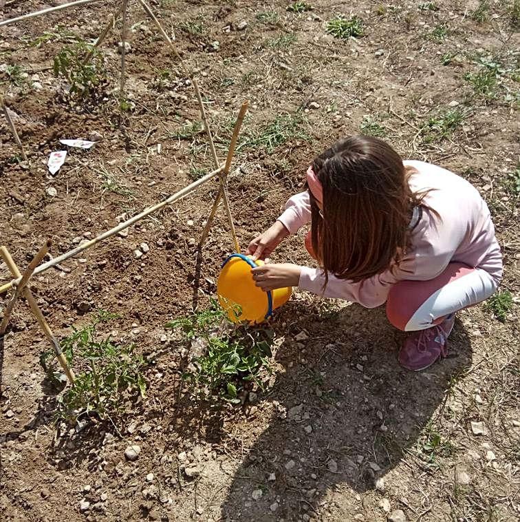 «Escuelas naturales por el cambio»