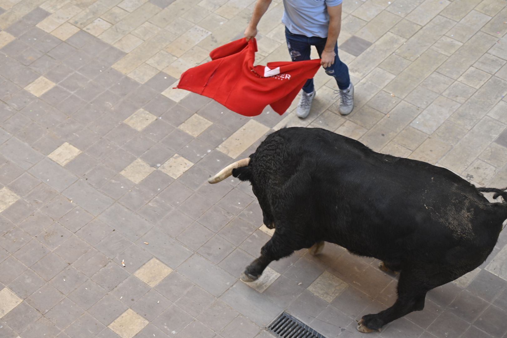 Galería | Primera tarde de toros en Almassora
