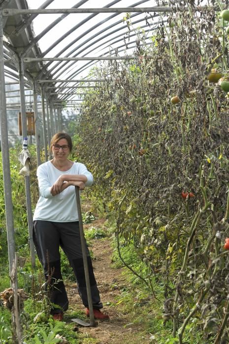 Curso de agricultura ecológica en Langreo