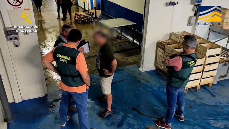Alerta sanitaria: incautan 7 toneladas de almejas no aptas para el consumo en Huelva