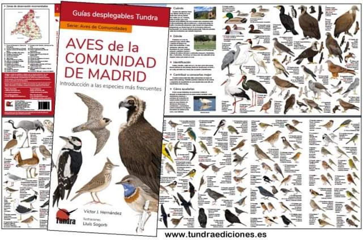 La guía ilustrada por Lluís Sogorb sobre las Aves de la Comunidad de Madrid.