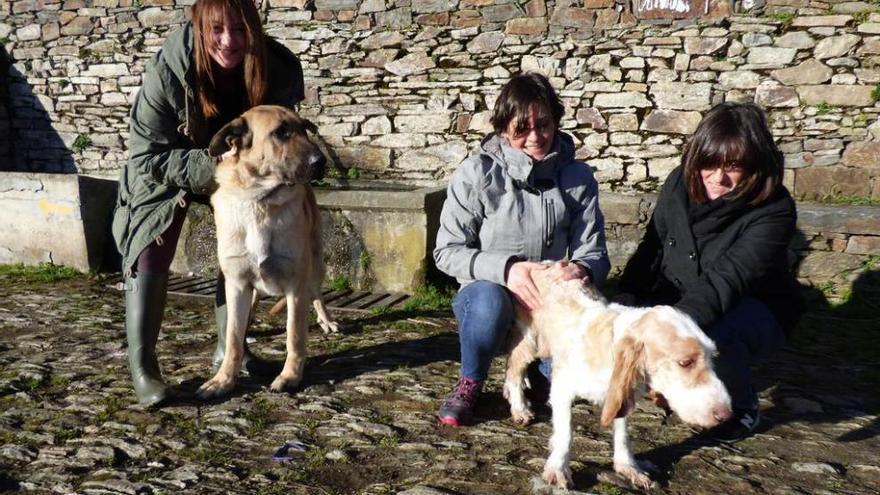 Por la izquierda, Justina García con &quot;Zarpas&quot;, y Ana Isabel García y Nuria Menéndez con &quot;Rufo&quot;.