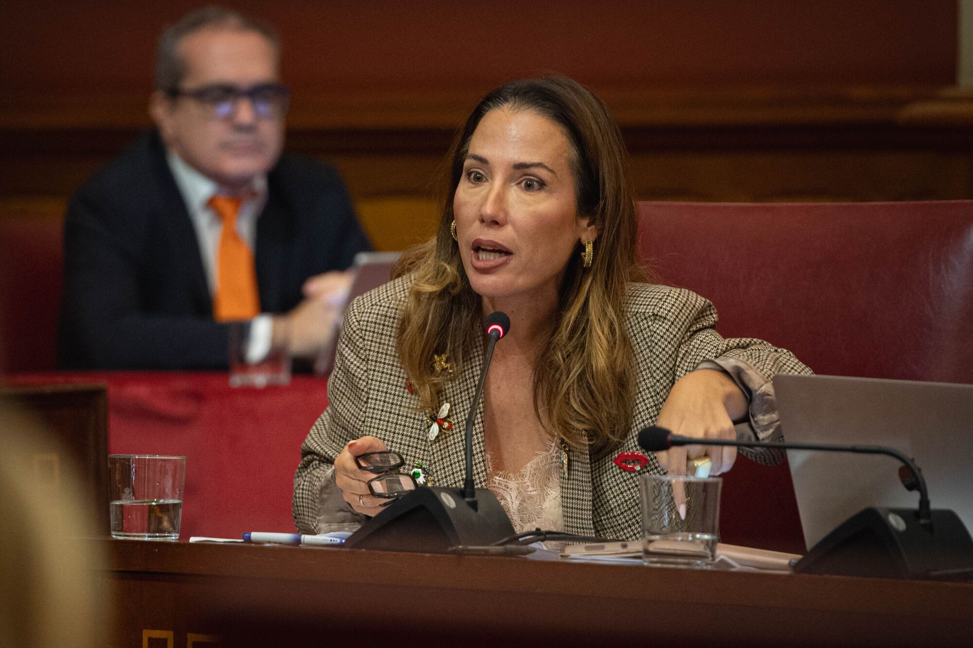 Pleno del Ayuntamiento de Santa Cruz