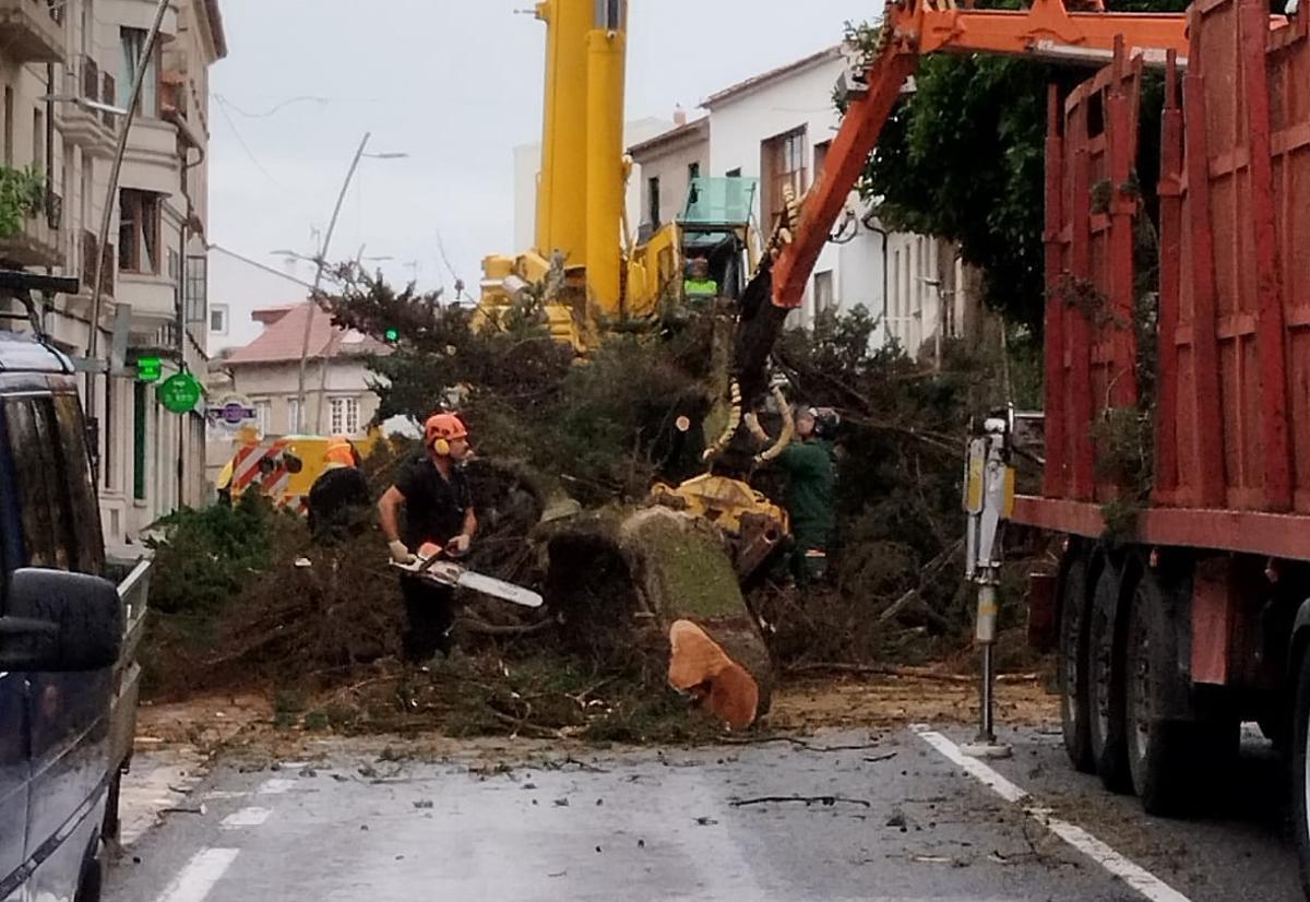 El despiece tuvo que realizarse en la carretera por falta de espacio en la propiedada.