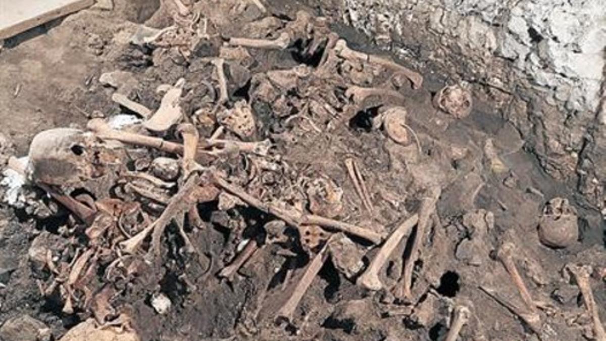 Fósiles de homínidos descubiertos en la cueva El Mirador, en el yacimiento de Atapuerca.