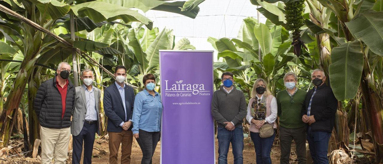 Ricardo Díaz, primero a la izq., ayer, acompañado en la visita  a la finca de Guía. | | LP/DLP