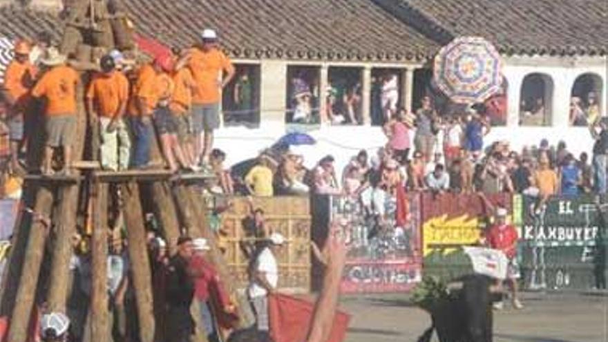 Los menores no podrán participar en espectáculos taurinos en Extremadura