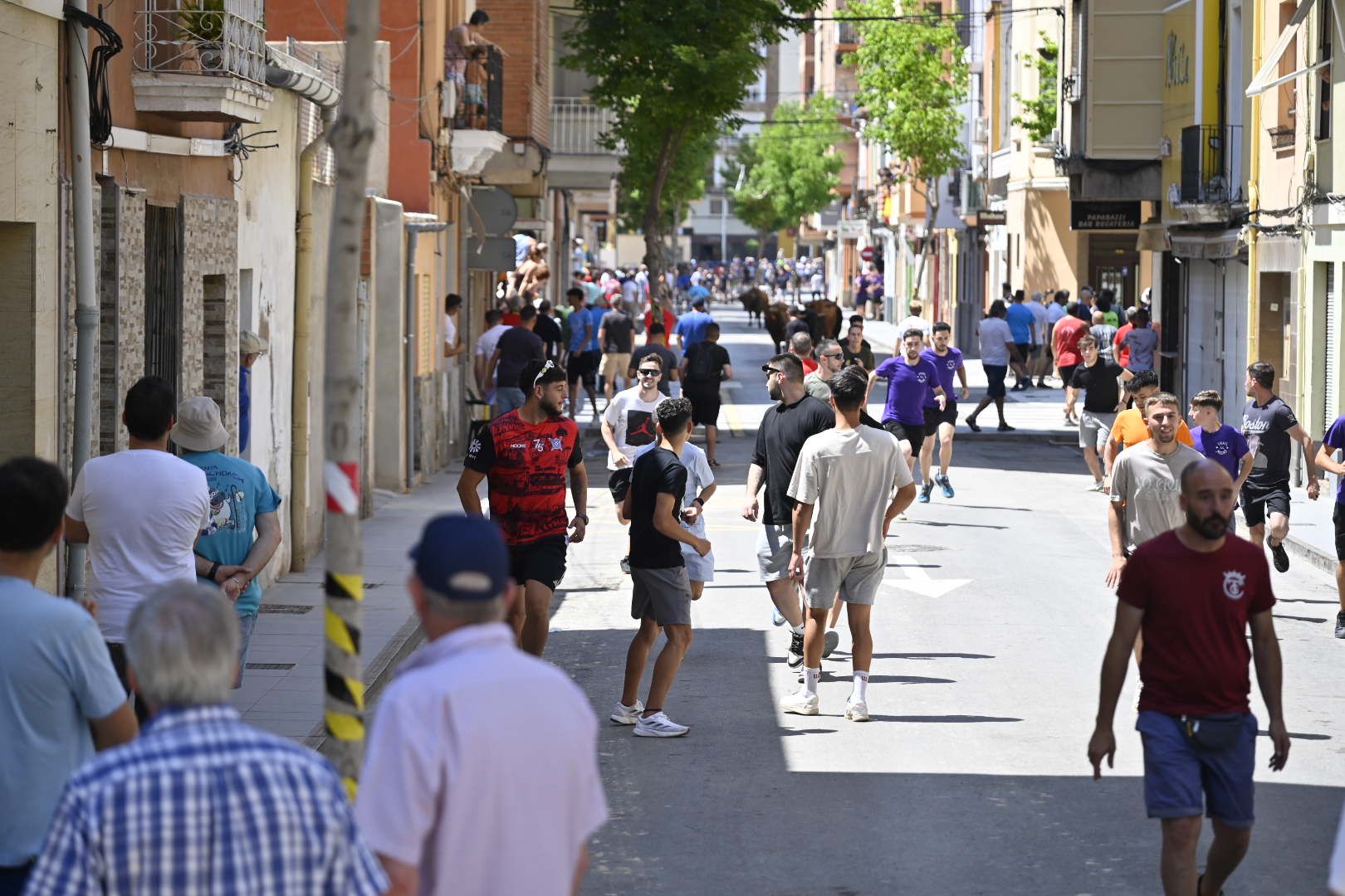 El ‘bou’ toma protagonismo mañana, tarde y noche en el Grau en fiestas