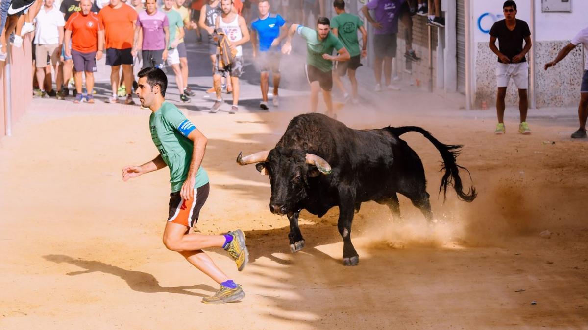 Las peñas taurinas piden al Consell reactivar los festejos con aforos del 70 %