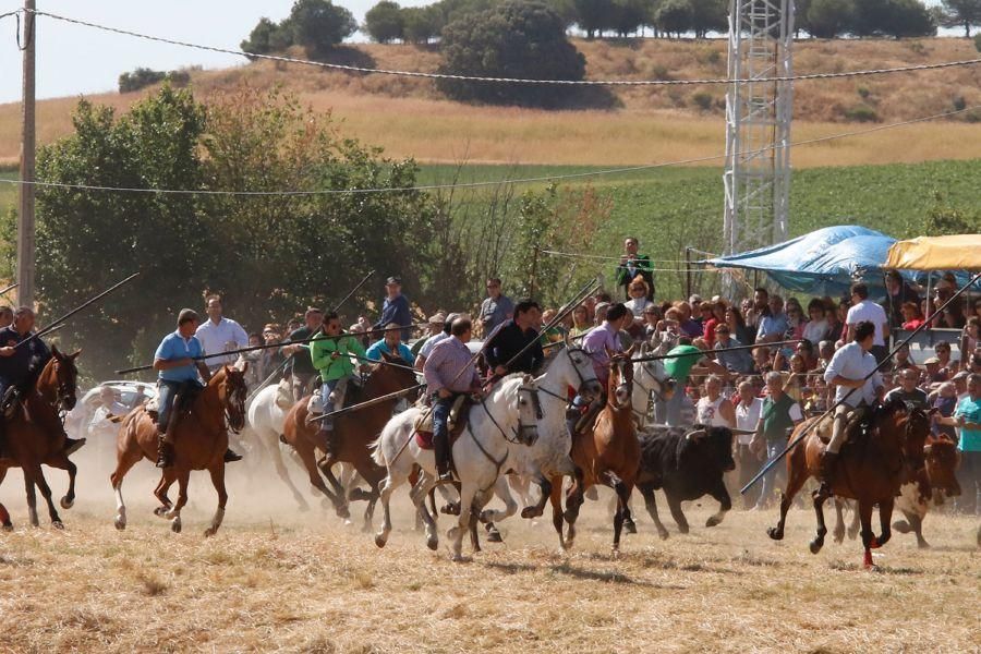 Encierro Guarrate