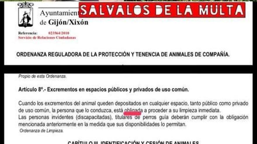 El irónico mensaje de una gijonesa para los que no recogen las heces de sus perros