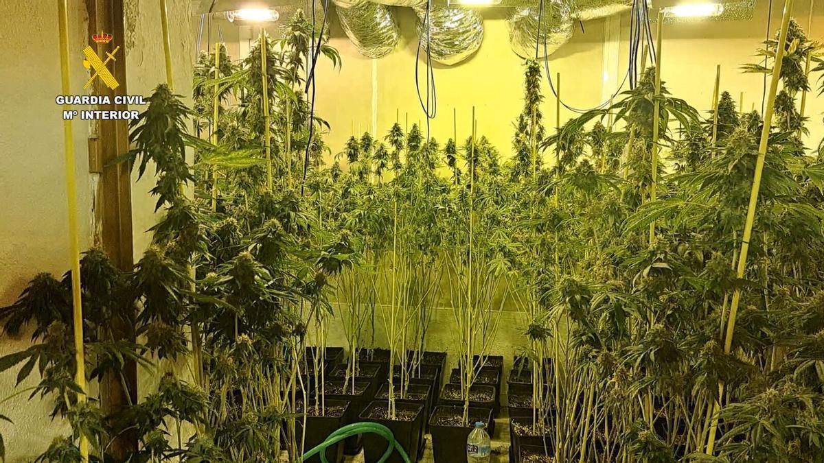 Marihuana incautada por la Guardia Civil, en una imagen de archivo.