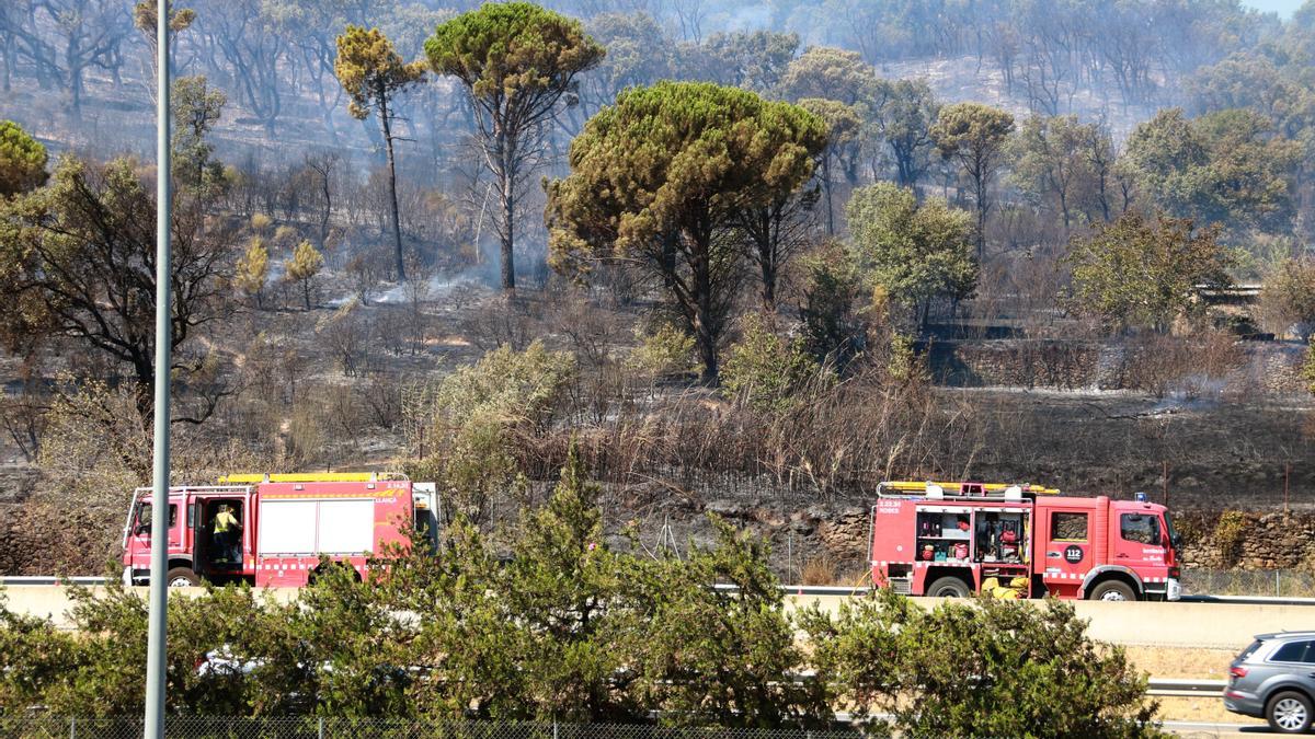 Imatge d&#039;arxiu d&#039;un incendi de vegetació a la Jonquera