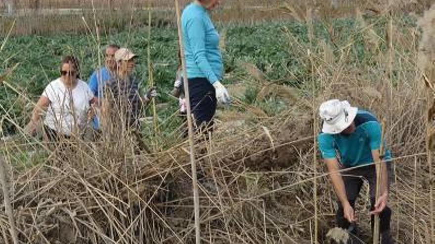 En pro de la agricultura ecológica