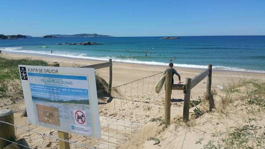 Una de las zonas de protección del chorlitejo en A Lanzada. // Faro