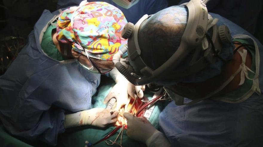 Imagen de una operación de trasplante