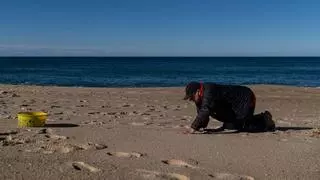 ¿Qué son los pellets de plástico encontrados en las playas de Galicia y Asturias y cuáles son sus peligros para el medio ambiente?