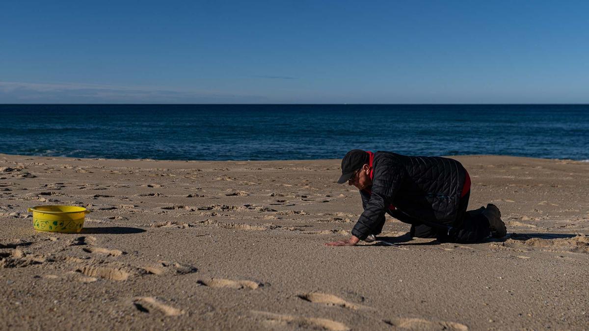 Contaminación marina por el vertido de pellets en la costa gallega