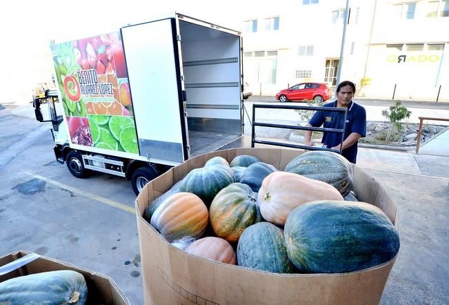 BENITO ALVAREZ PROVEEDOR CANARIO FRUTAS VERDURAS