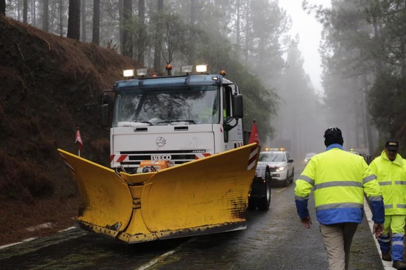 Visita al Teide nieve  | 06/12/2019 | Fotógrafo: Delia Padrón