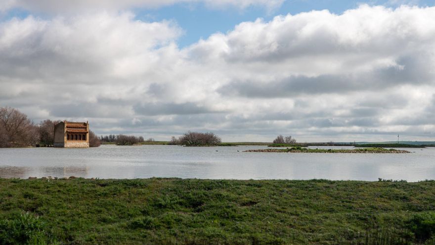 Lagunas de Villafáfila: el espectáculo está asegurado con el complejo lagunar al cien por cien de agua