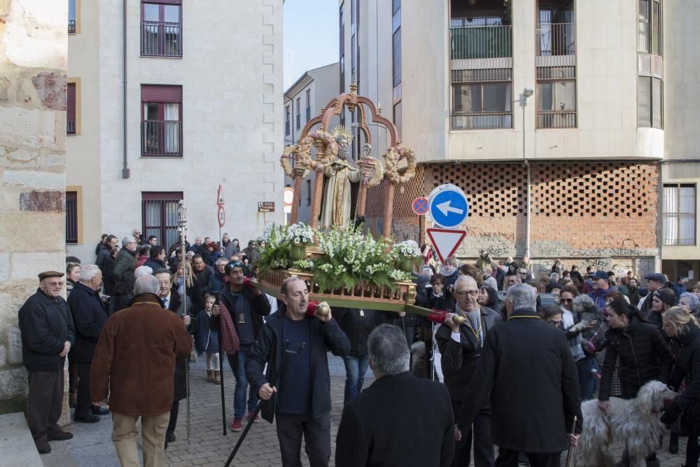 Procesión de San Antonio Abad